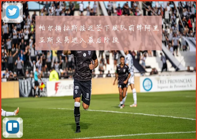帕尔梅拉斯接近签下狼队前锋阿里亚斯交易进入最后阶段