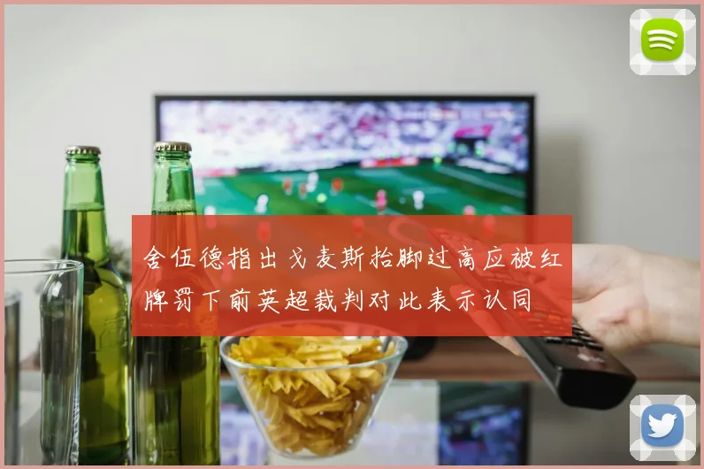 舍伍德指出戈麦斯抬脚过高应被红牌罚下前英超裁判对此表示认同