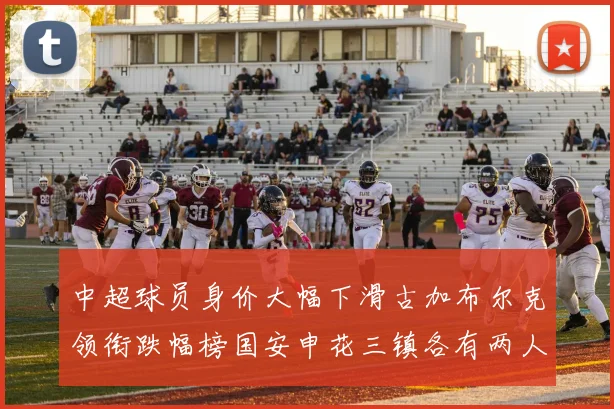 中超球员身价大幅下滑古加布尔克领衔跌幅榜国安申花三镇各有两人上榜