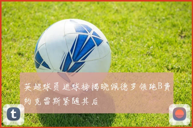 英超球员进球榜揭晓佩德罗领跑B费约克雷斯紧随其后