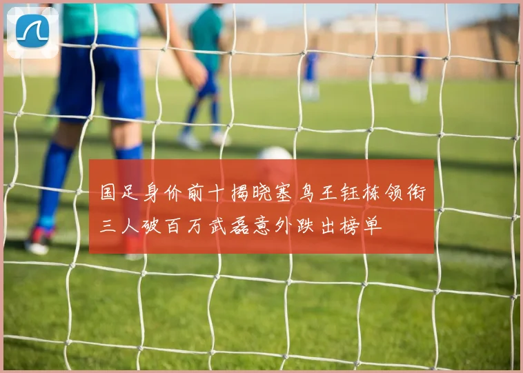 国足身价前十揭晓塞鸟王钰栋领衔三人破百万武磊意外跌出榜单