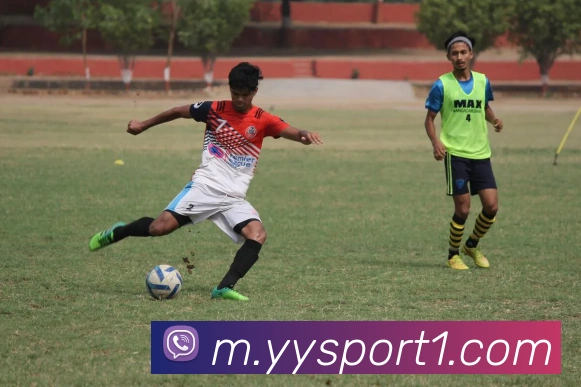 易游体育平台生态图